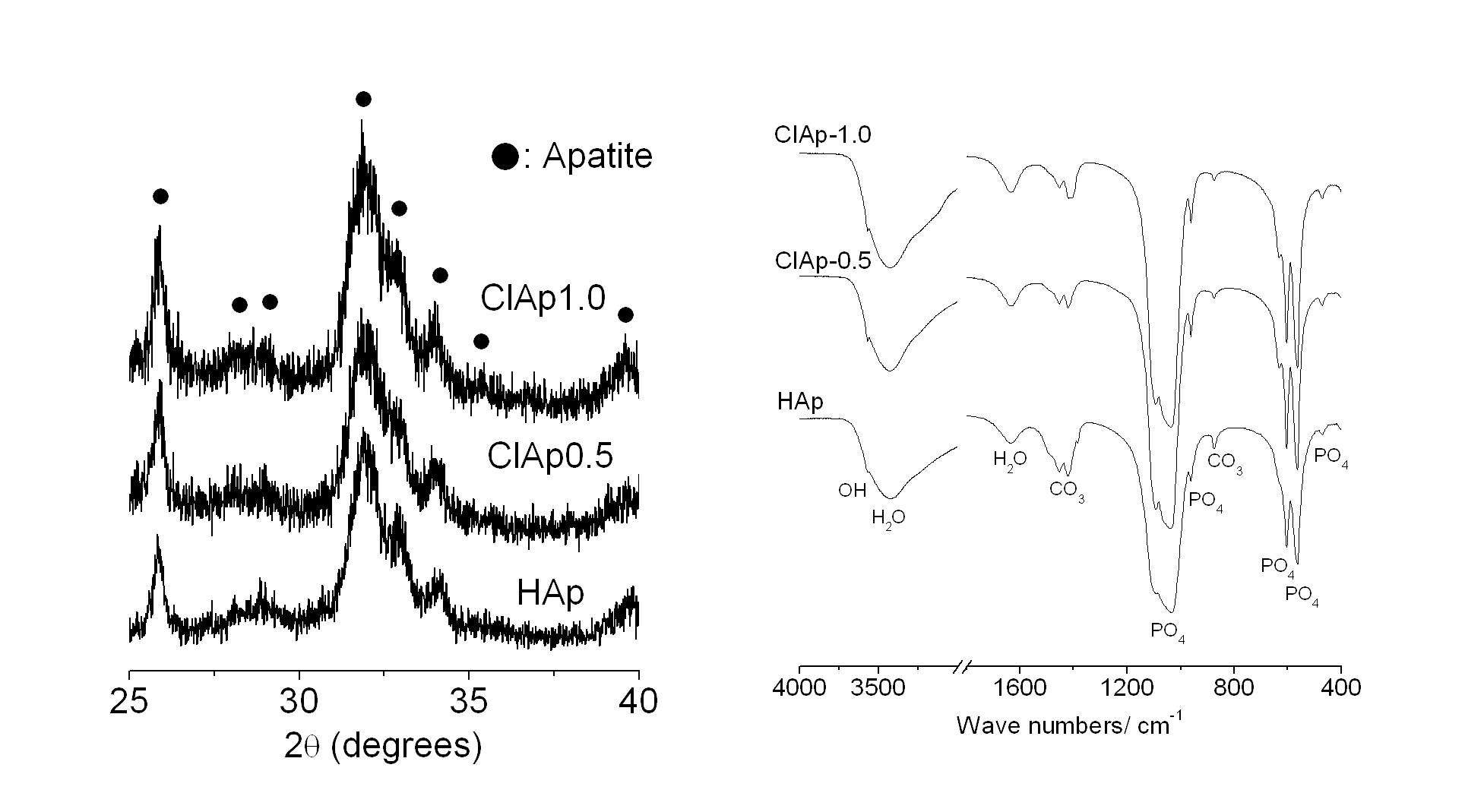 그림 40. 침전법으로 합성한 수산화아파타이트 및 염화아파타이트 분말의 XRD와 FT-IR측정 결과.