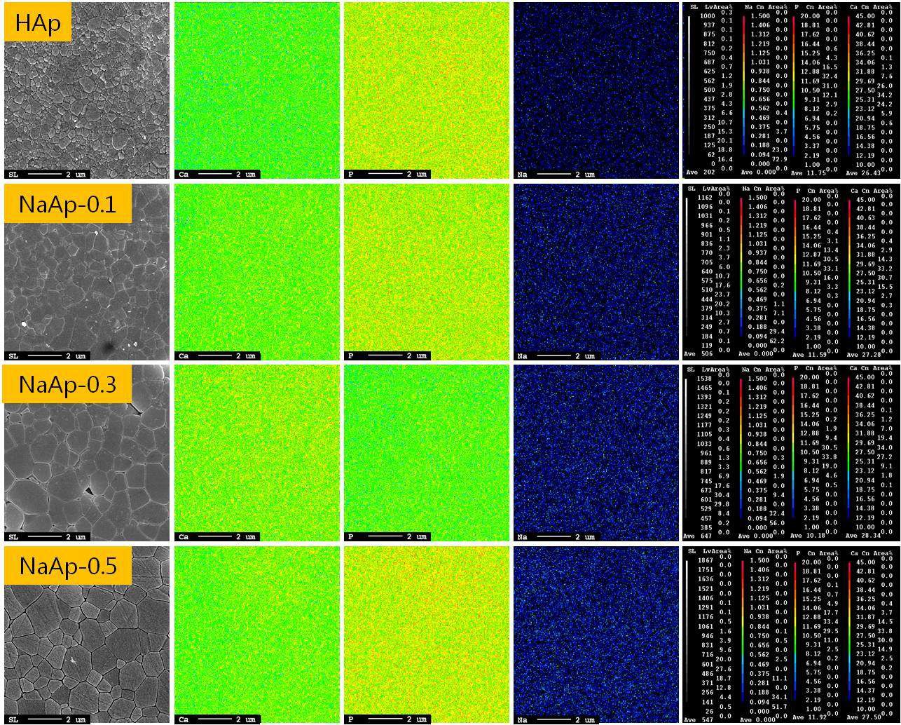 그림 49. 수산화아파타이트와 소듐아파타이트 디스크의 SEM 사진과 EPMA 분석 결과