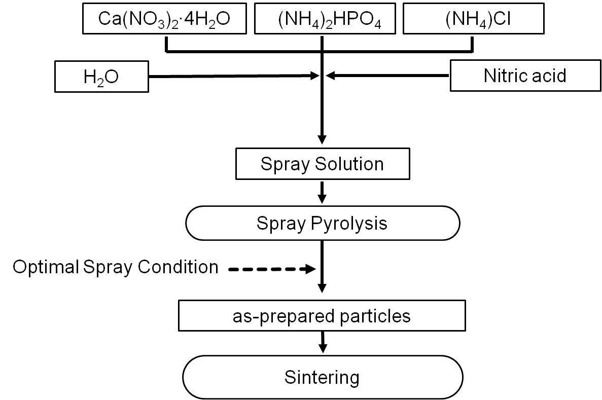 그림 52. 분무열분해법을 통한 염화아파타이트 분말 제조법에 관한 모식도.