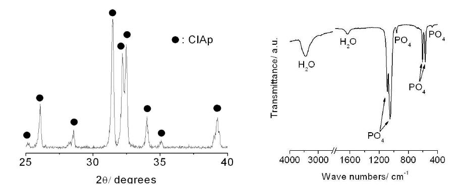 그림 58. 염화아파타이트 디스크를 1100oC에서 3시간 소결 후 XRD와 FT-IR측정 결과.