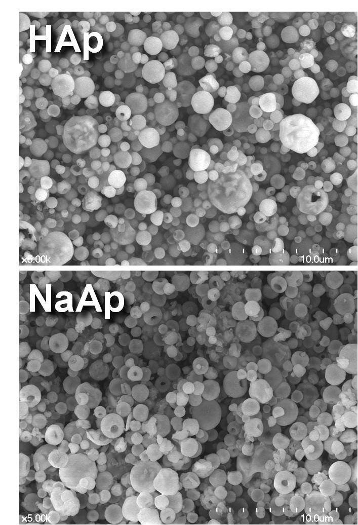 그림 65. 분무열분해법으로 합성한 수산화아파타이트와 소듐아파타이트 분말의 FE-SEM 관찰 결과.