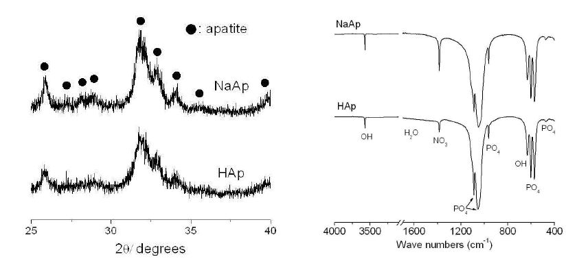 그림 66. 분무열분해 공정으로 합성한 소듐아파타이트 분말의 XRD와 FT-IR 분석결과.
