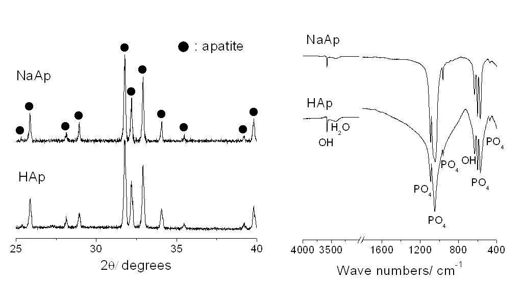 그림 68. 소결 후 아파타이트의 XRD와 FT-IR측정 결과.