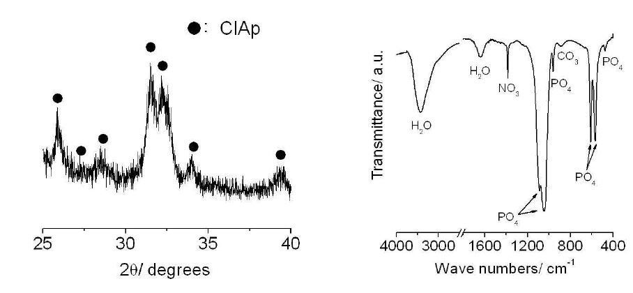 그림 72. 나노 크기 염화아파타이트 분말의 XRD와 FT-IR측정 결과.