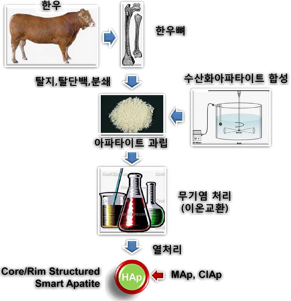 그림 1. 1차년도 연구내용 개략도.