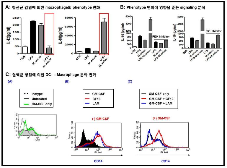 항산균/항원에 의한 면역세포의 phenotype 변화예시