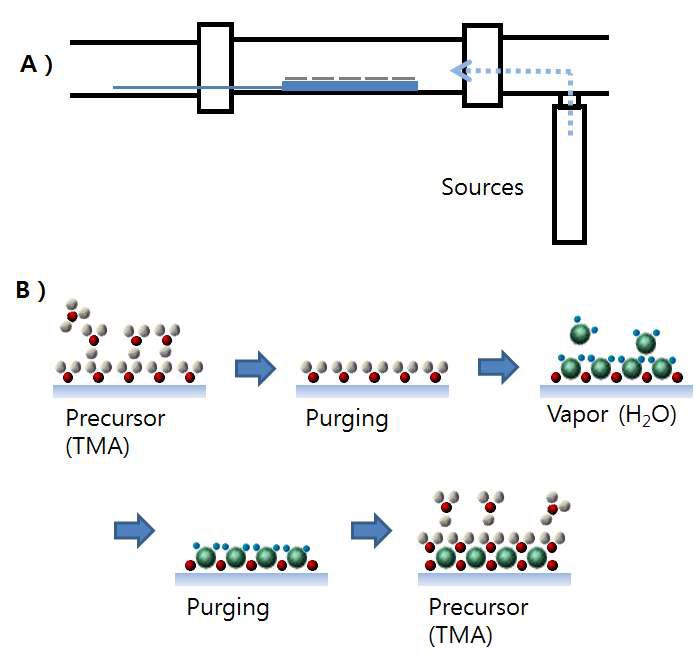A) ALD 장비의 모식도와 B) ALD 방법을 통한 산화 알루미늄 박막 성장 메커니즘.