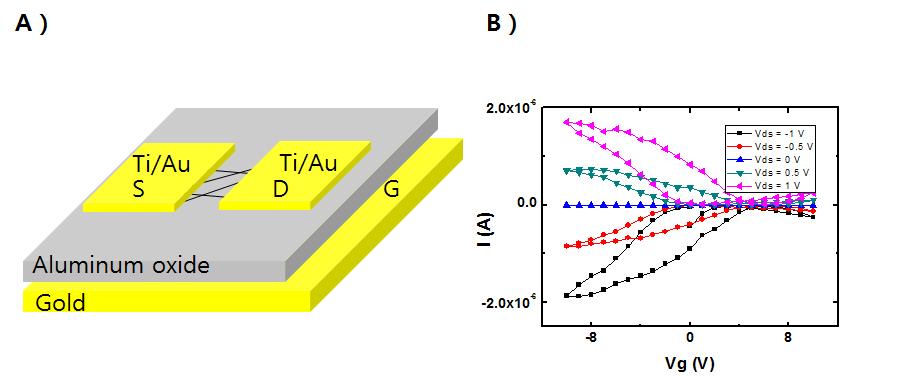 (a) 산화 알루미늄 박막을 이용하여 제작된 CNT-FET의 모식도와 (b) 제작된 CNT-전계효과소자의 Transfer curve.