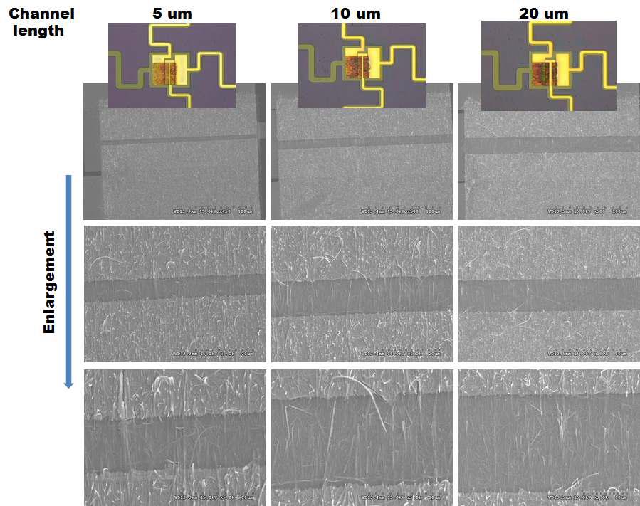 채널 길이에 따른 소자 사진 및 채널 SEM 이미지