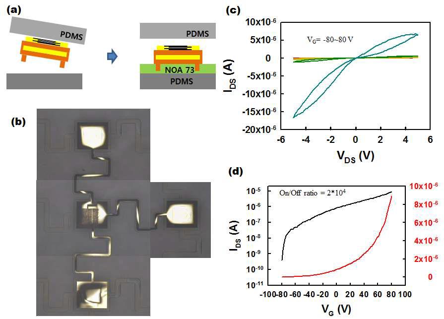 NOA 73을 이용한 스트레쳐블 소자 전이 및 전기 특성