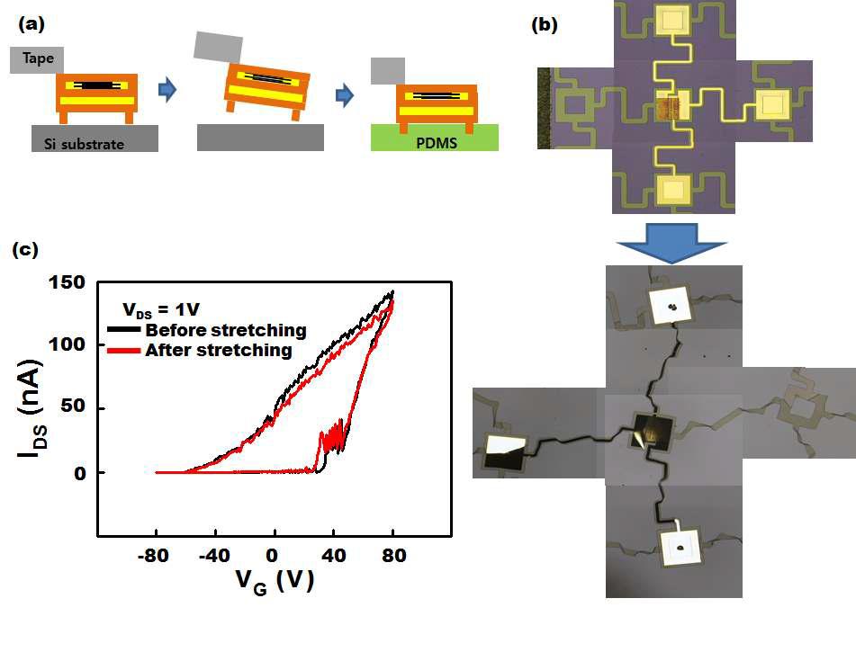 테이프를 이용한 소자 전이법 및 스트레칭 전후의 전기특성 비교