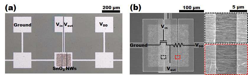 SnO2 나노선을 이용한 nMOS 인버터 소자 이미지