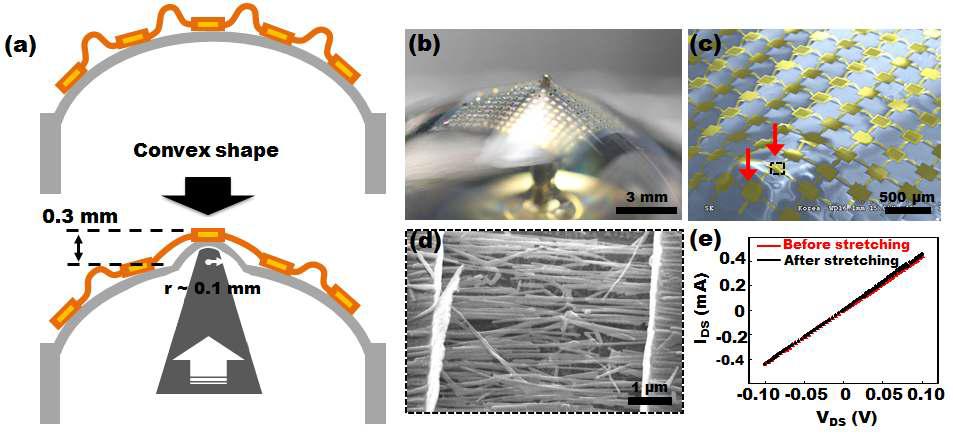 반구형 기판위에 전이된 나노선 소자와 스트레칭에 따른 소자 이미지