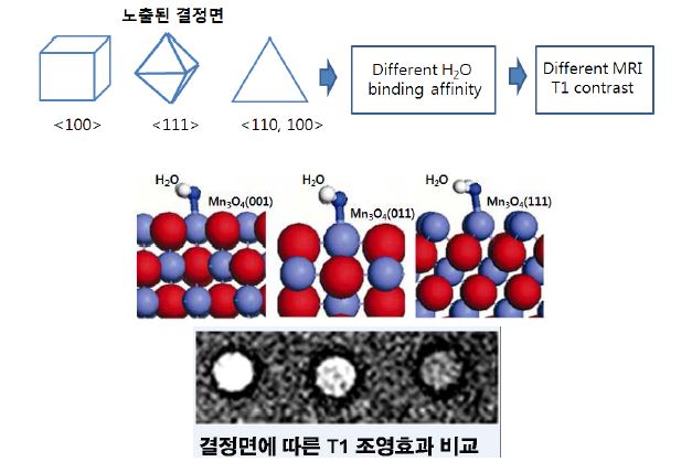 그림. 면에 따라 흡착되는 물 분자의 안정화와 MR 조영과의 상관성 개념도