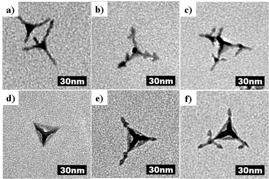 그림. a), b), c) Rh tetrahedron을 seed로 사용하여 성장시킨 hierarchical Rh 나노물질, d), e), f) trigonal concave Rh 나노물질을 seed로 사용하여 성장시킨 hierarchical Rh 나노구조체