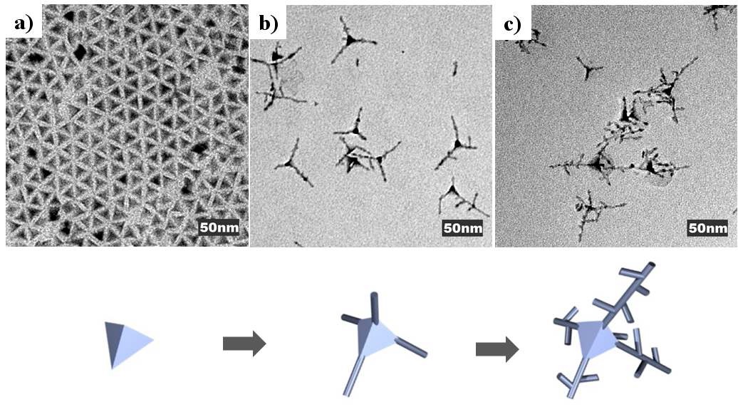 그림. a) Rh tetrahedron 나노물질, b) Rh tetrahedron을 seed로 가지를 성장시킨 Rh 나노물질, c) 가지 끝에 tetrahedron을 형성시키지 않고 지속적으로 가지만 성장시킨 Rh 나노물질과 성장과정의 개념도