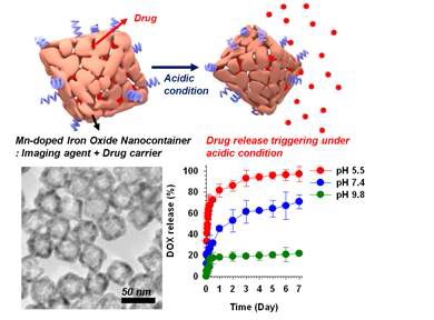 그림. 산성 환경에서 저장된 약물을 방출하는 Nanocontainer의 모식도(위) Nanocontainer의 TEM 영상(아래,좌), Buffer solution에서 pH에 따른 Doxorubicin방출량(아래,우)
