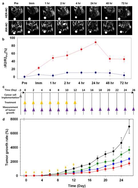 그림. (a)NIH3T6.7암조직이 이종이식된 실험용 쥐에 HER-NC와 IRR-NC를 주입하여 시간에 따라 얻은 IT2강조 MRI 영상. (b) 입자 주입 후 시간에 따른 △R2/R2Pre 그래프.(red: HER-NCs, blue: IRR-NCs)(c)NCs 주입, 암조직 측정 스케줄. (d) in vivo 모델에서 항암능력 측정결과