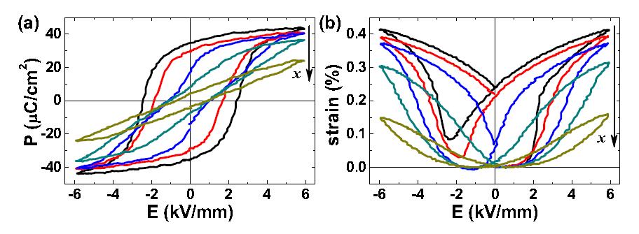 P(E) and S(E) hysteresis loops at room temperature for studied (x = 0, 0.01, 0.02, 0.03, 0.04) all compositions studied (x = 0, 0.01, 0.02, 0.03, 0.04)