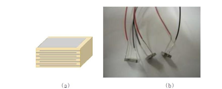 (a) Schematic and (b) photo of BNKT MLA.