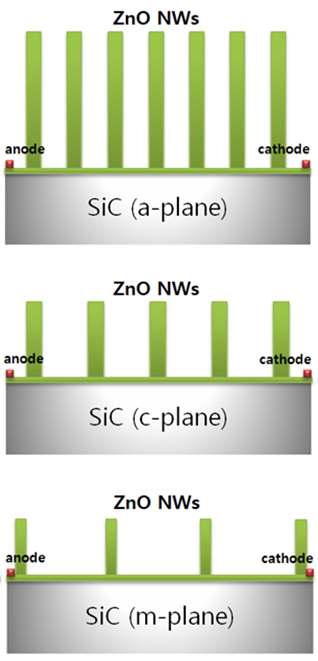 a-,c-m- 면방향 4H-SiC 상에 성장된 ZnO 나노선 구조