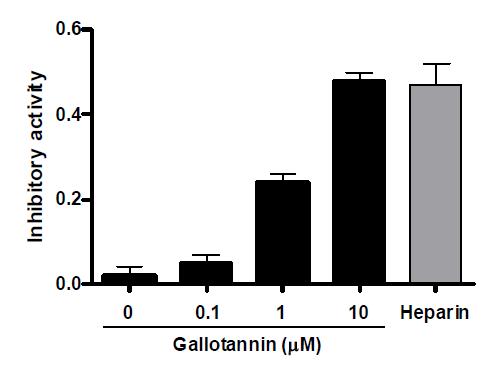 Gallotanin의 농도별 처리에 따른 calcium oxalate 억제 효과