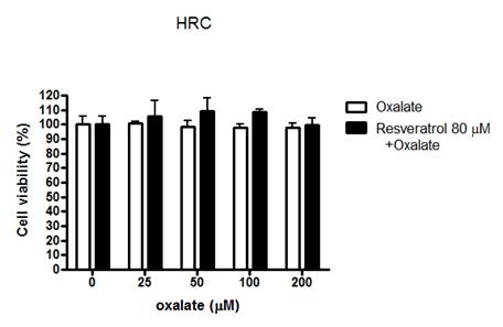 Resveratrol (80uM) 또는 oxalate 의 세포 신장상피 세포인 HRC에서의 세포독성