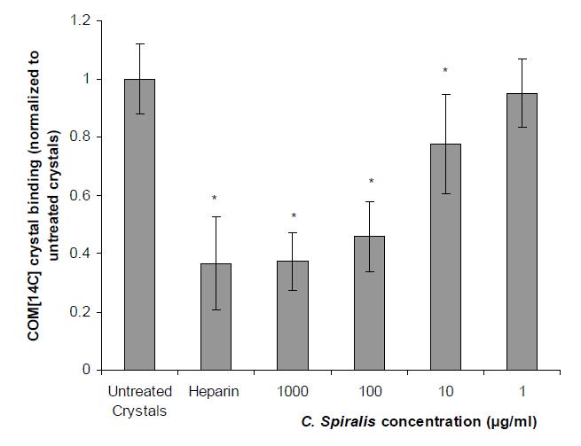 C.Spiralis 의 수산 칼슘 Calcium oxalate crystal의 신장 세포에 대한 binding의 억제