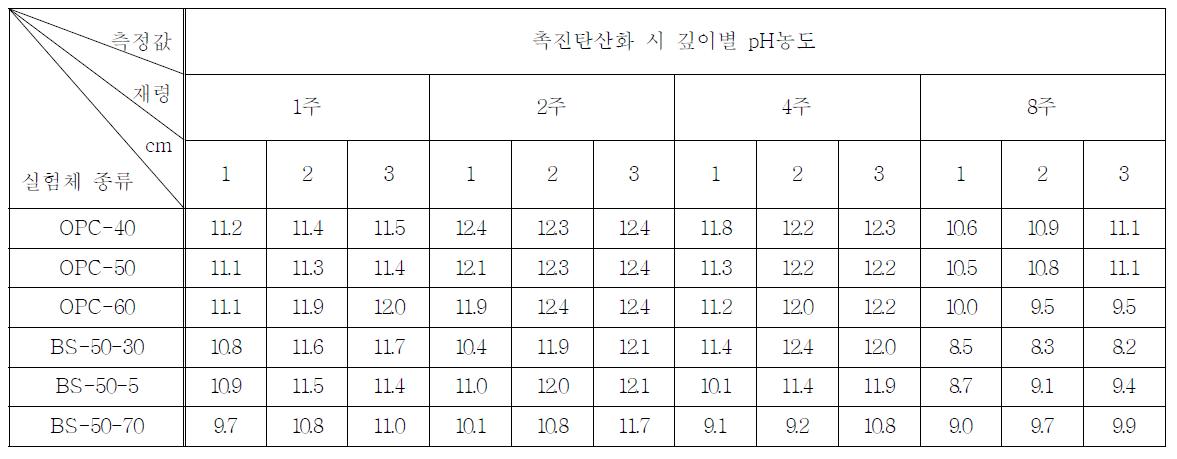 실험인자별 촉진탄산화 재령에 따른 깊이별 pH농도