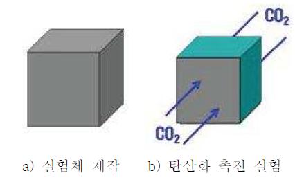 시험체 모식도