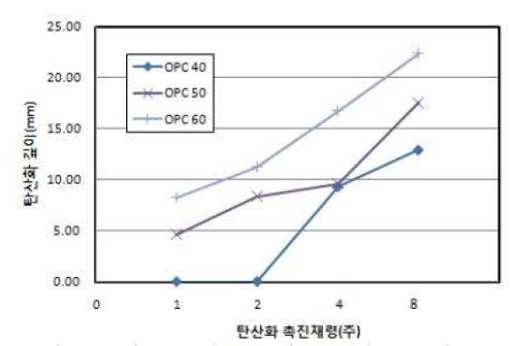 W/C에 따른 재령별 탄산화 깊이