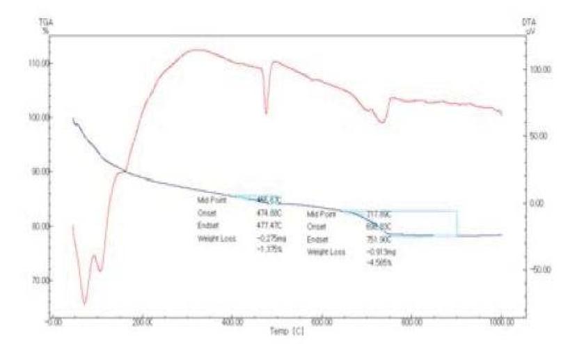 TG/DTA를 이용한 정량분석 결과(BS-50-50)