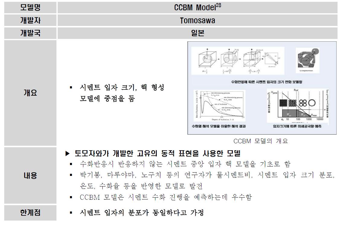 CCBM Model