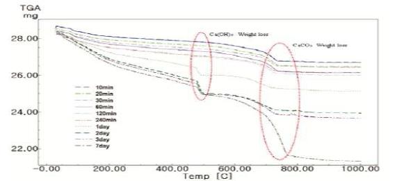 시멘트 수화물 성분의 TGA 곡선