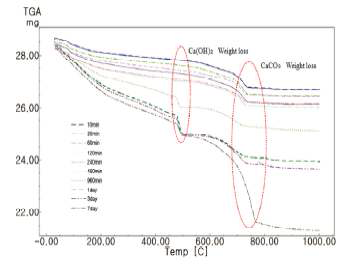 교반시간대별 시멘트 수화물의 TG-DTA분석