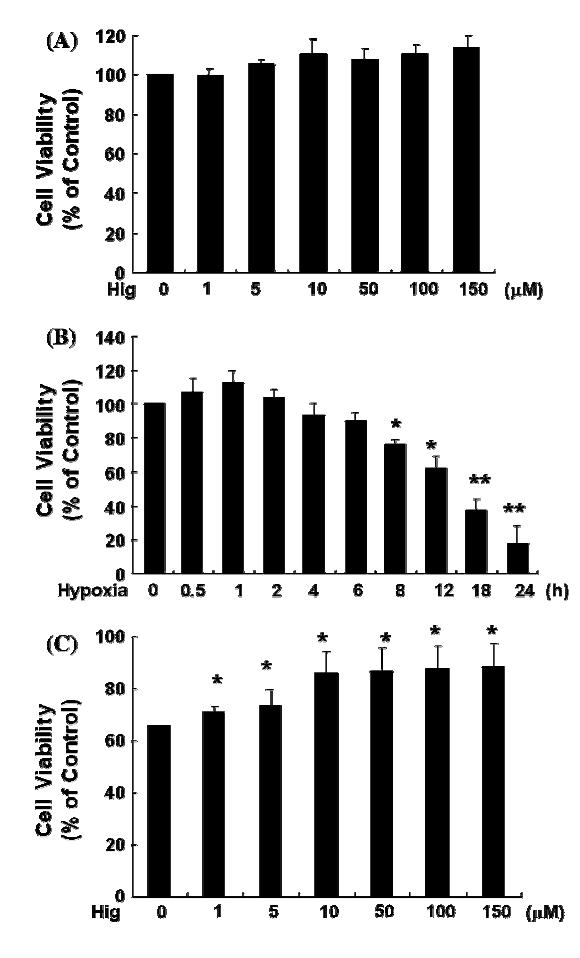 Cell viability of higenamine in C6 cells. Cell proliferation was tested using MTT. a Under normoxia, C6 cells were treated with different concentrations of higenamine (lM), and incubated for 24 h in CO2 incubator. b Cells were moved to hypoxic chamber and cell proliferation was measured after incubation of indicated time. c The indicated dose of higenamine (lM) was treated and incubated for12 h under hypoxic chamber as described in ‘‘Materials and methods’’