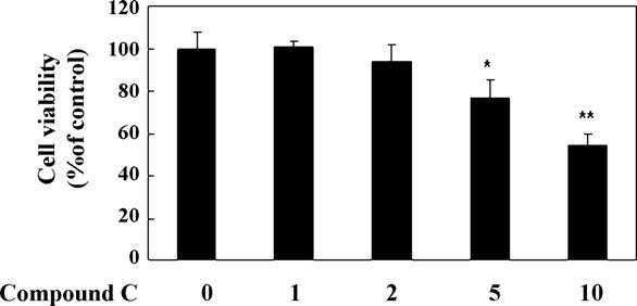 Cellular toxicity of compound C in human umbilical vein endothelial cells. Cellular toxicity was evaluated with MTT assay. Cells were treated with compound C as indicated concentrations for 24 h. Data are expressed as means ± SEM. *, P < 0.05, **, P < 0.01, compared with control, respectively.