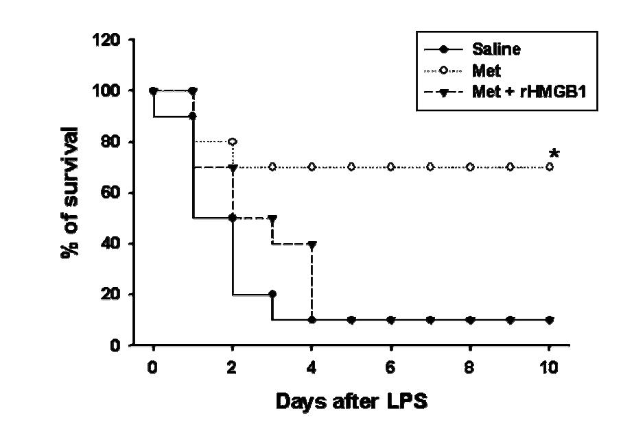 rHMGB1 reversed the therapeutic effect of metformin on lethal endotoxaemia.