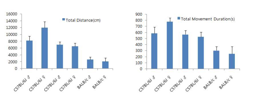 마우스 계통 및 성별 측정시간(20분) 동안 총 이동거리(좌) 및 이동에 소비한 시간(우) 비교 그래프.