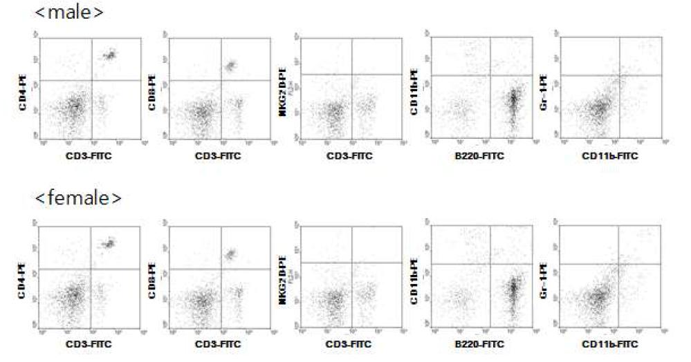C57BL/6 마우스 비장 세포의 FACS 분석 결과