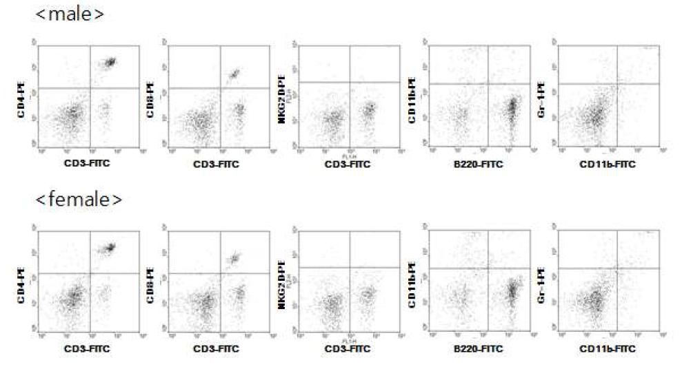 BALB/c 마우스 비장 세포의 FACS 분석 결과