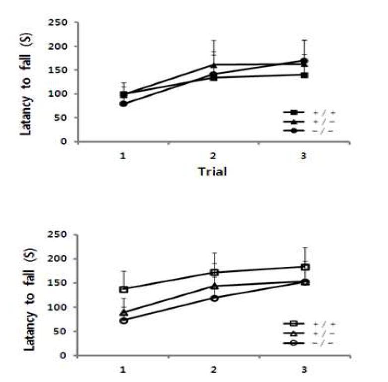 Effect of VDUP1 on motor coordination of mice in the Rotarod test