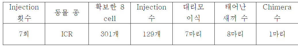 ICR mice를 이용한 Brip1 cell Injection