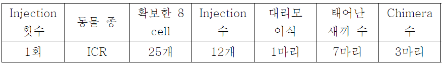 XYclon를 이용한 Wdfy3 cell Injection