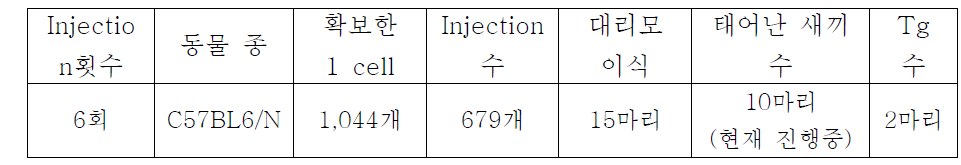 rGnRH- ChR2- EYFP DNA Injection내용