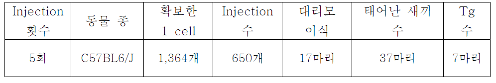 hSP-C Gpr1 DNA Injection 내용