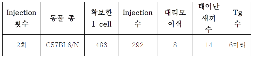 Pvu1-long DNA Injection내용