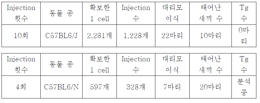 Nuir-27a* DNA Injection 내용