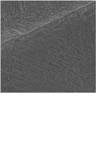 그림 3. 본 연구 장비를 응용하여 성장된 그래핀 박막의 전자현미경 이미지.