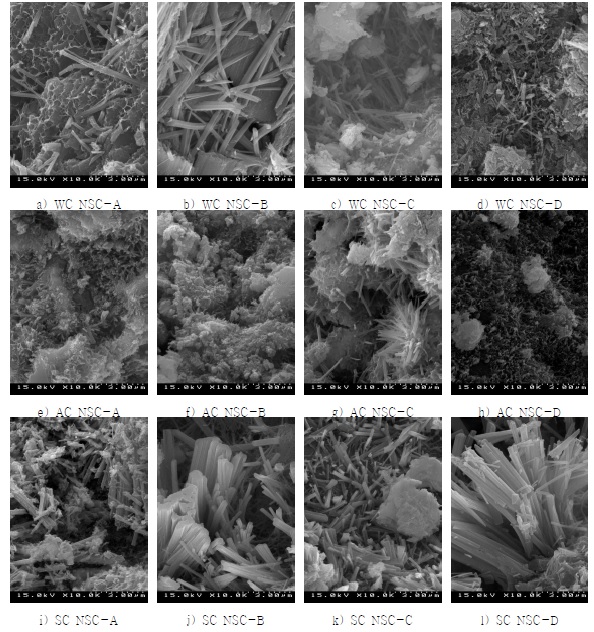 Figure 10. SEM image of NSC with curing method